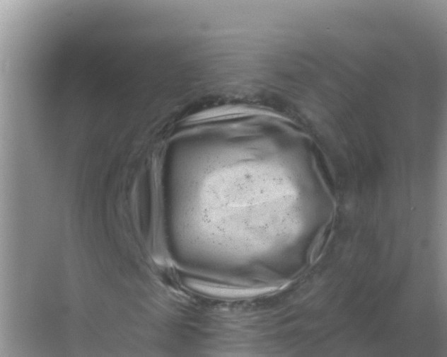 X0000069360817200605261956