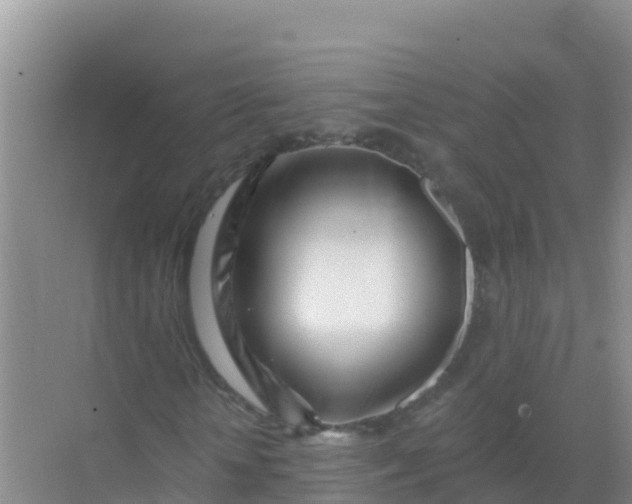 X0000069360818200605261956