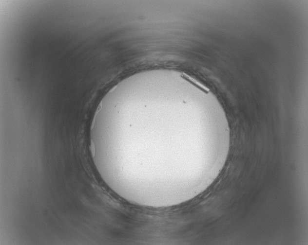 X0000069360820200605261956