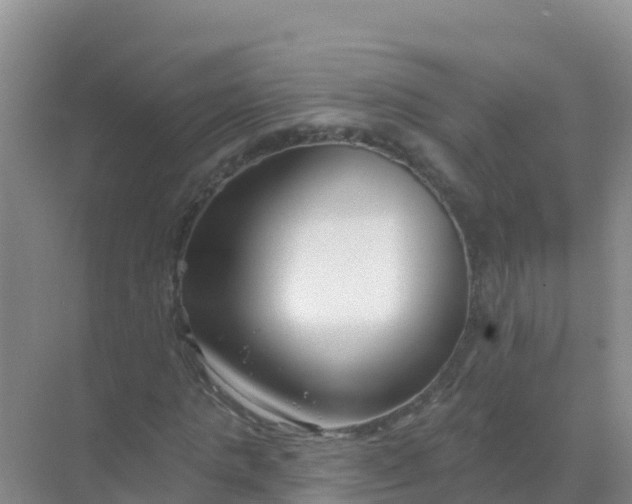 X0000069360821200605261956