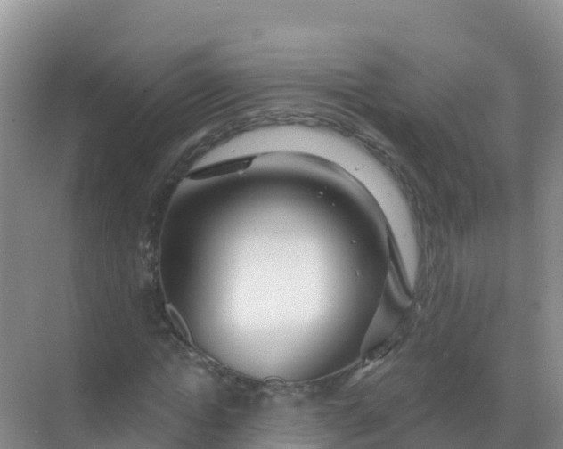 X0000069360822200605261956