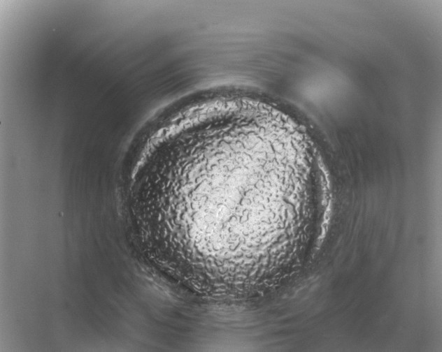 X0000069360823200605261956