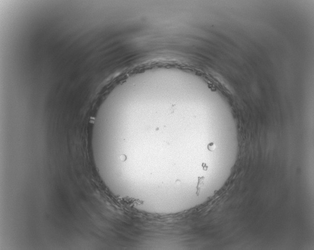 X0000069360824200605261956