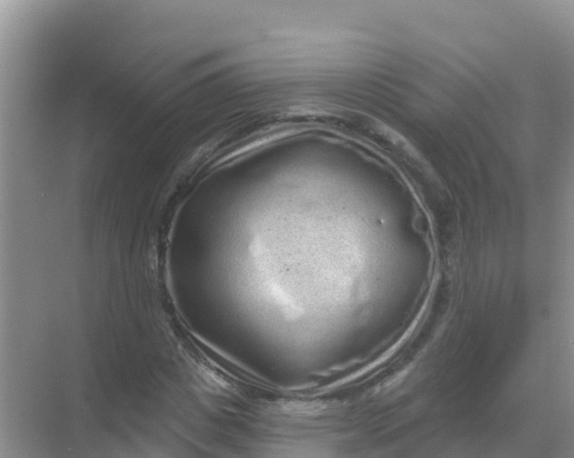 X0000069360825200605261956