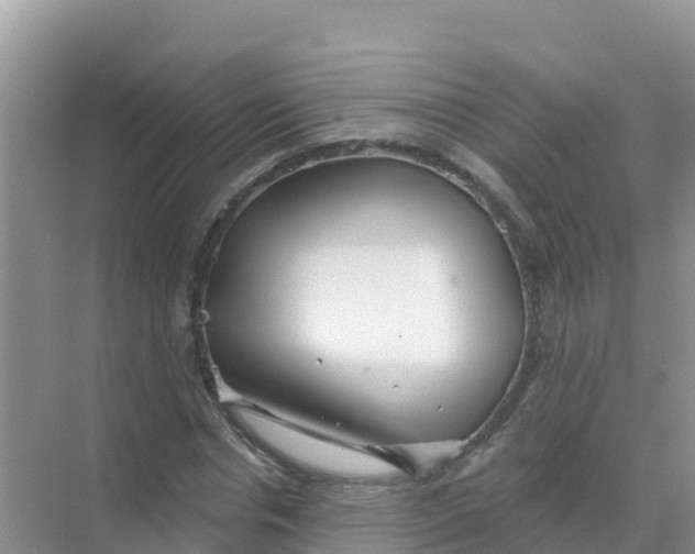 X0000069360826200605261956