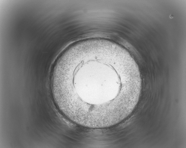 X0000069360828200605261956