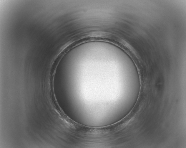 X0000069360829200605261956