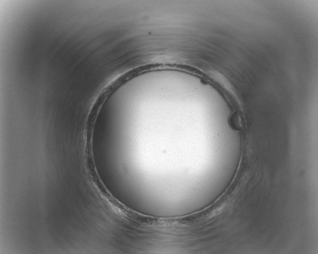 X0000069360831200605261956