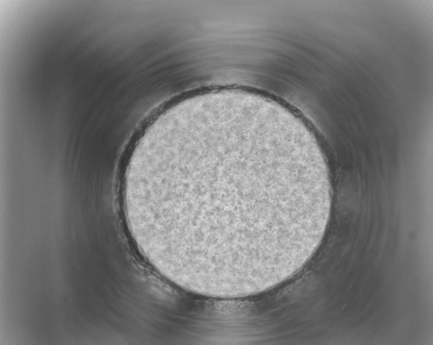 X0000069360832200605261956