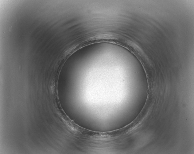 X0000069360833200605261956