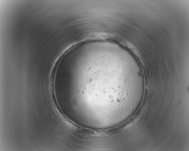 X0000069360835200605261956