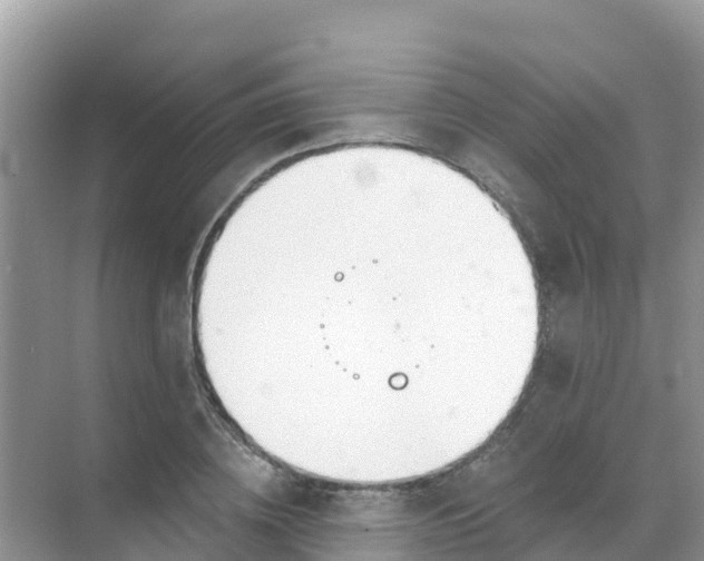 X0000069360836200605261956