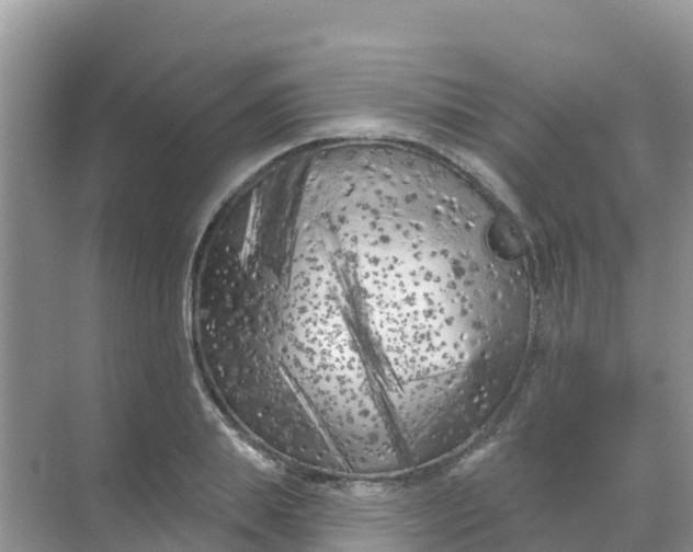 X0000069360839200605261956