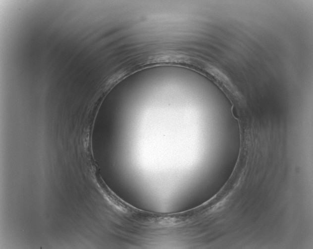 X0000069360841200605261956