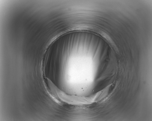 X0000069360842200605261956