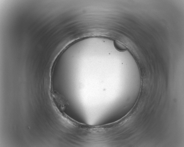 X0000069360844200605261956