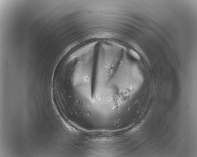 X0000069360845200605261956