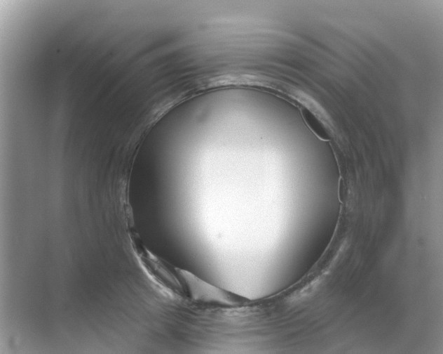 X0000069360849200605261957