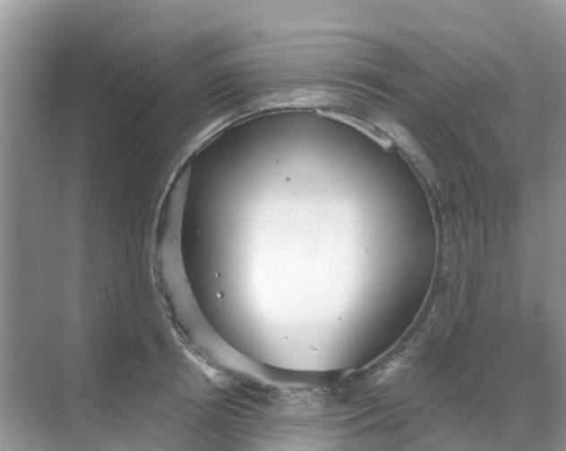 X0000069360850200605261957