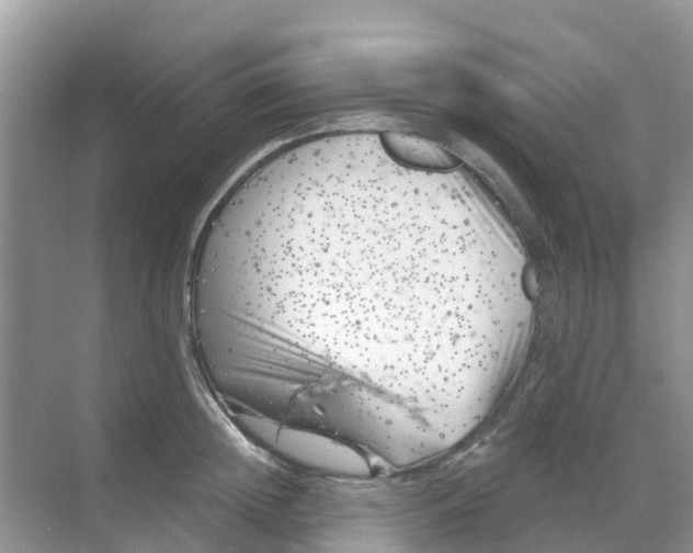 X0000069360852200605261957