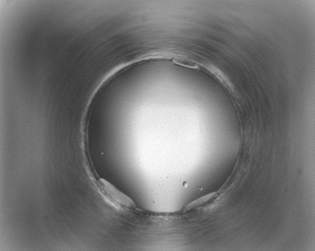 X0000069360854200605261957