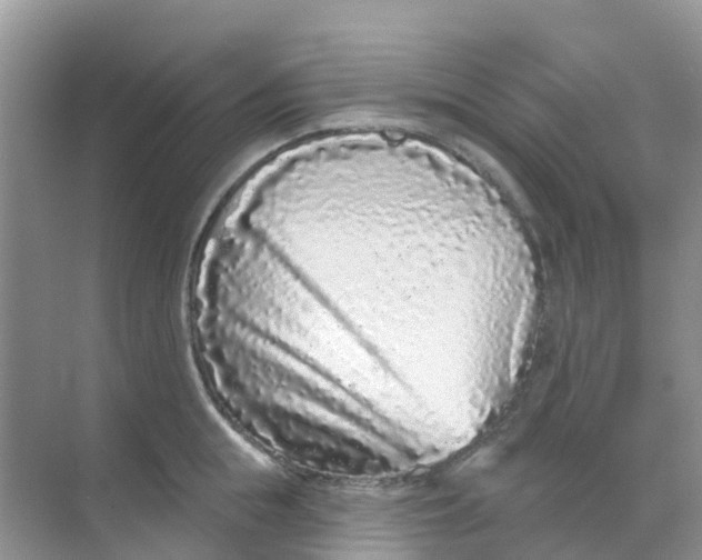 X0000069360855200605261957