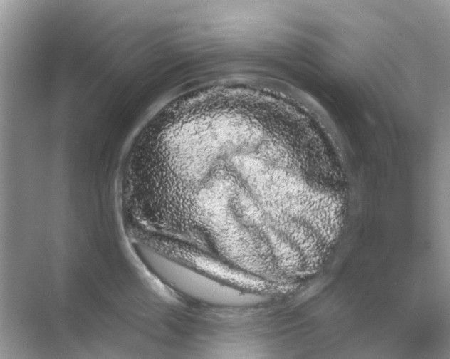 X0000069360859200605261957