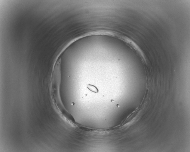 X0000069360860200605261957