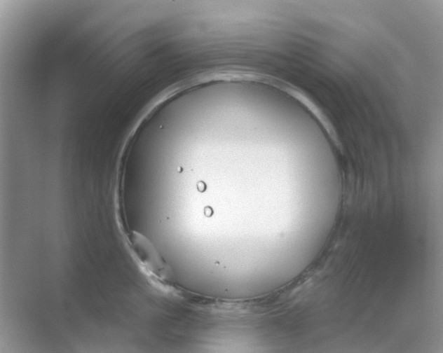 X0000069360861200605261957