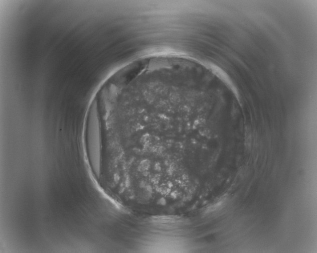 X0000069360863200605261957