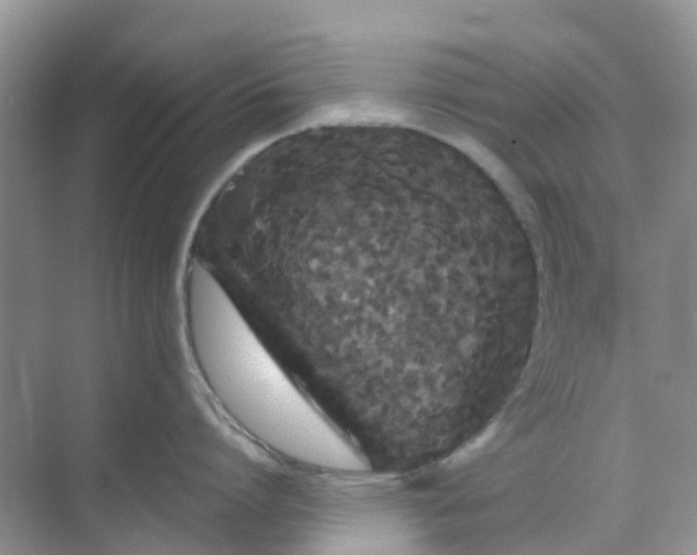 X0000069360864200605261957