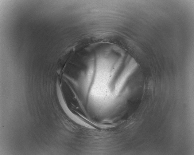 X0000069360868200605261956