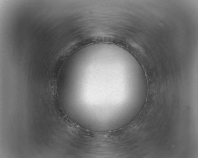 X0000069360870200605261956