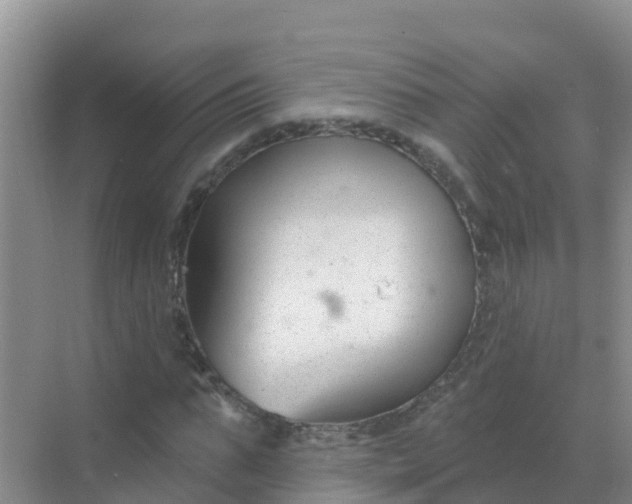 X0000069360871200605261956