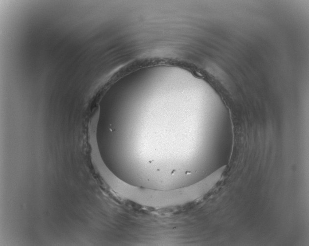 X0000069360872200605261956