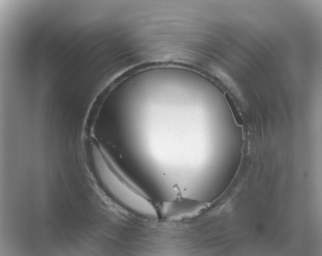 X0000069360876200605261956