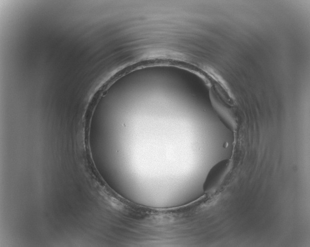 X0000069360877200605261956