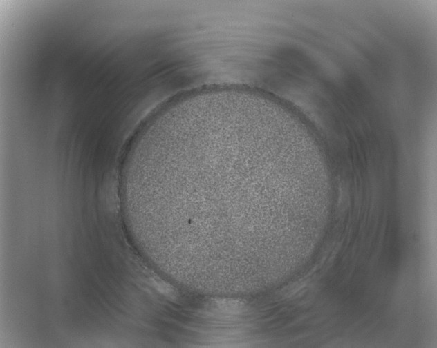 X0000069360878200605261956