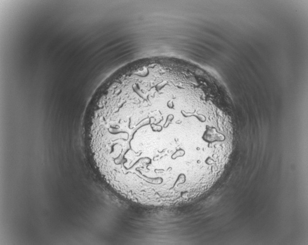 X0000069360879200605261956