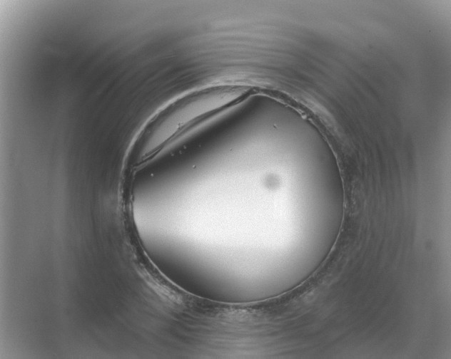 X0000069360880200605261956