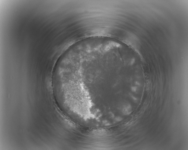 X0000069360882200605261956