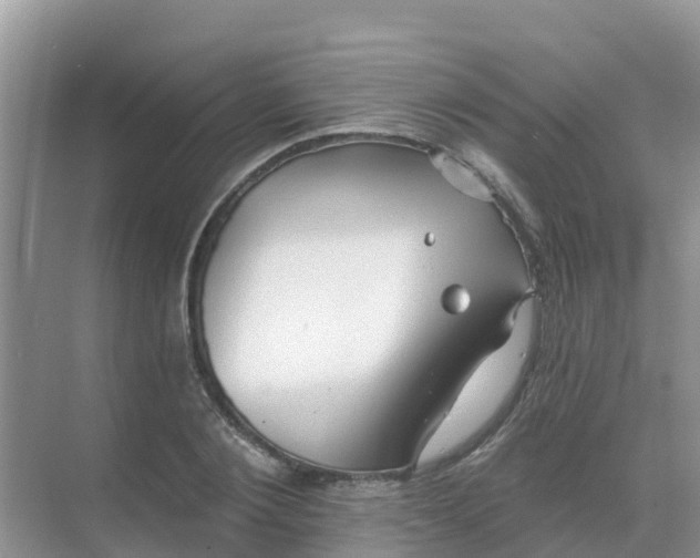 X0000069360884200605261956