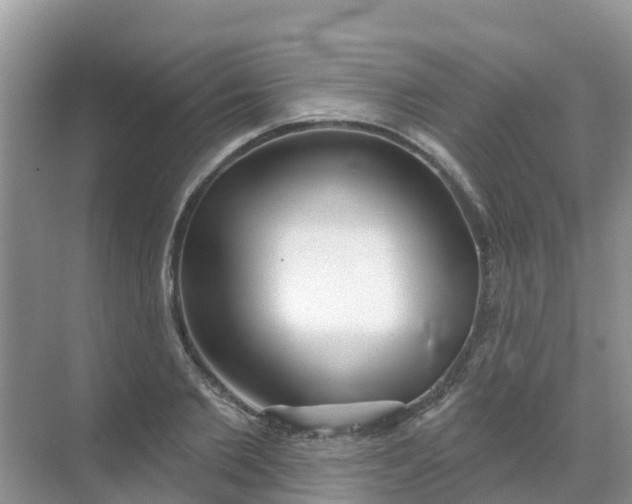 X0000069360885200605261956