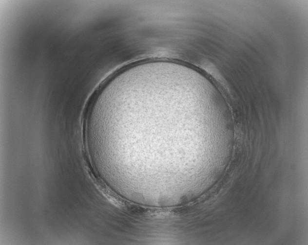 X0000069360886200605261956