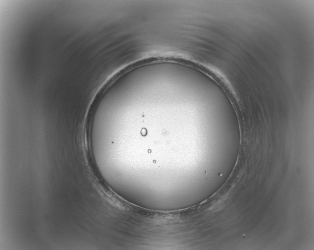 X0000069360887200605261956