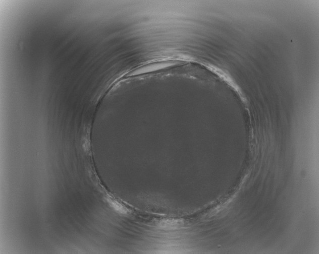 X0000069360889200605261956