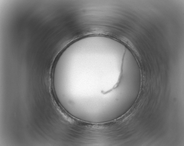 X0000069360890200605261956