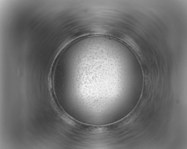 X0000069360891200605261956