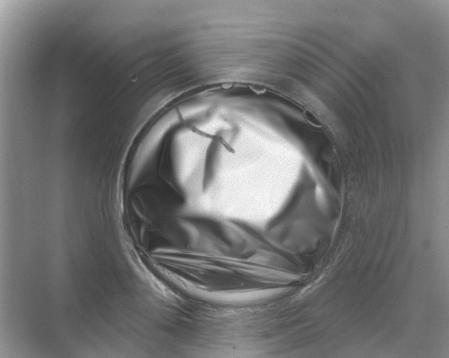 X0000069360892200605261956