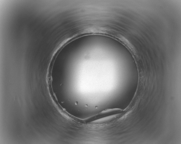 X0000069360893200605261956